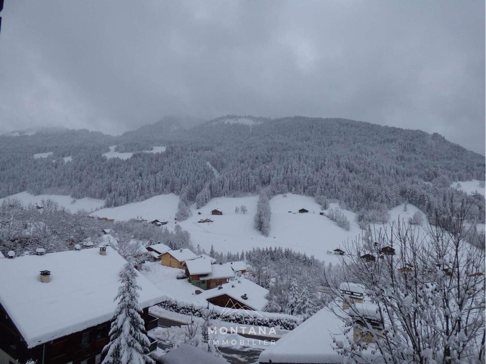 Studio Renove Avec Cabine - 26M² - 5 Pers - Balcon Expose Sud - Pres Skibus Et Remontees Mecaniques - Fr-1-458-125 Le Grand-Bornand Buitenkant foto